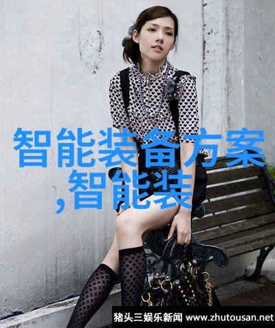 市场分析报告PPT精准洞察力数据驱动策略