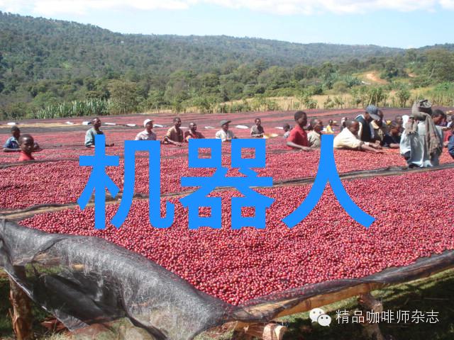 山东财经大学铸就金融学者梦想的殿堂
