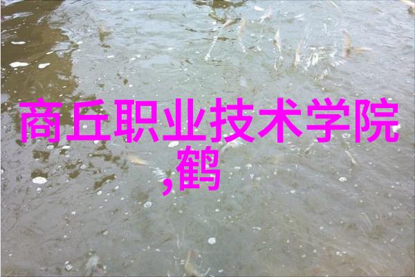高效生产自动化输送设备的应用案例分析
