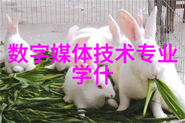 我的传动带故事从滴答作响到轻松运转