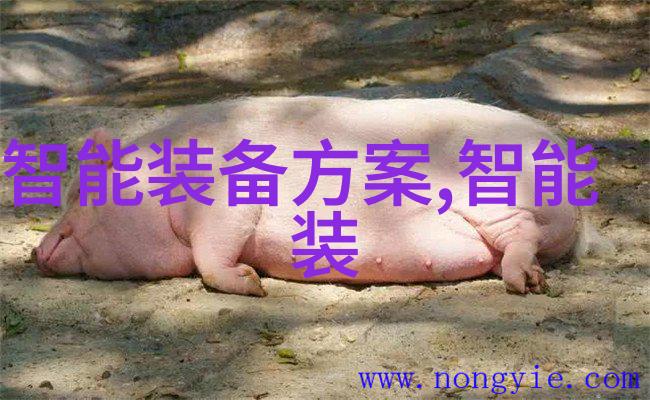 海马体照相馆佳能500d室内摄影棚设置建议