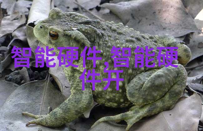 个人工作情况报告范文我的上半年工作总结从努力到成长再到挑战