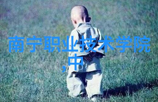 丝网规整填料型号应用与选择指南