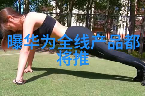 国内首款大算力存算一体AI芯片上市芯片价格表显著