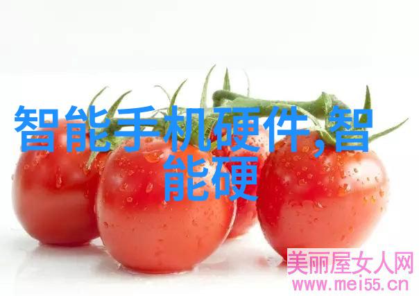 末日骑士穿越废墟的光明使者