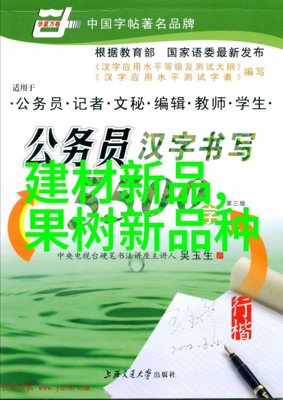 新篇章启航编织未来之声