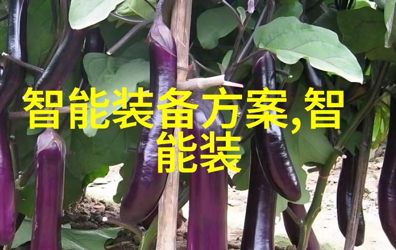 安全防线的守护者信息安全测评中心寻求新兵