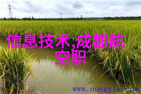暖气换热器 - 温馨转变探索高效的暖气换热器选择