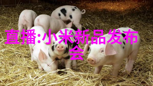 化工梦想与现实的对话追逐理想超越刻板印象