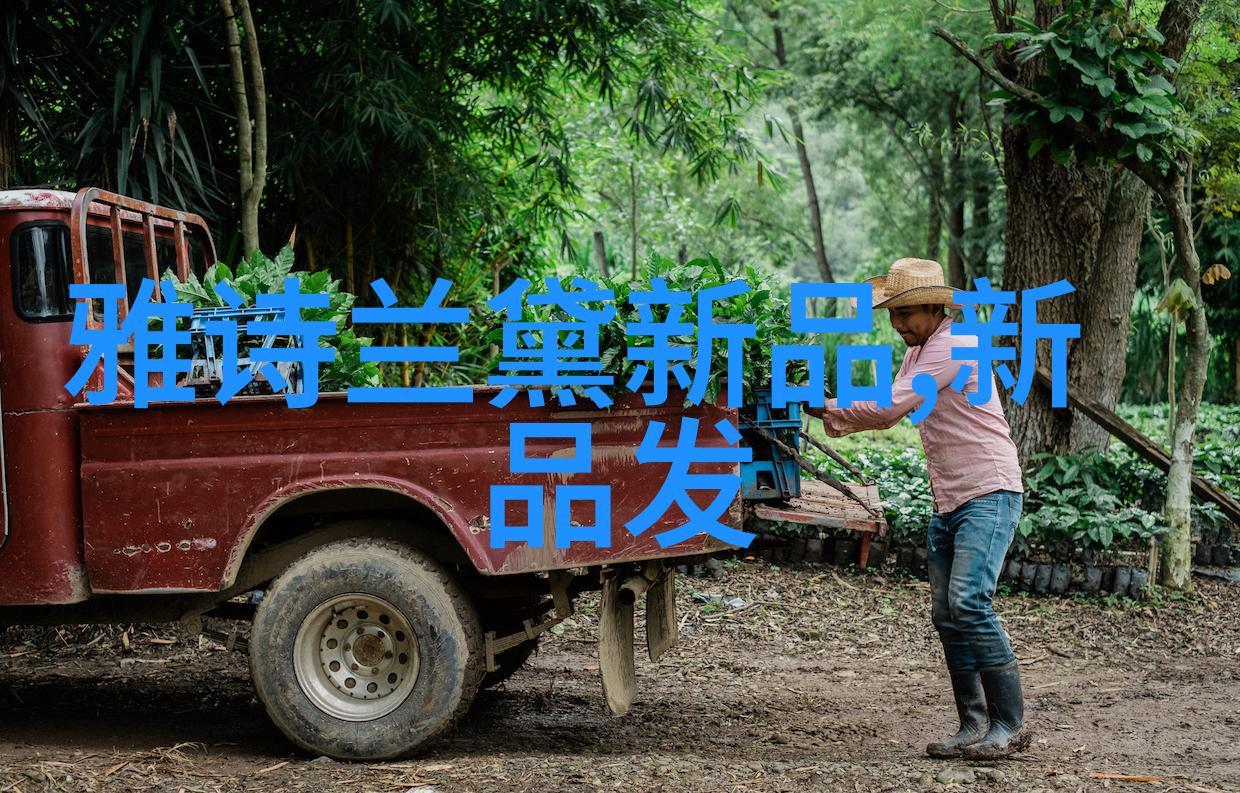 水质检测仪指标数值背后的谜团究竟是什么因素影响着这些关键数据