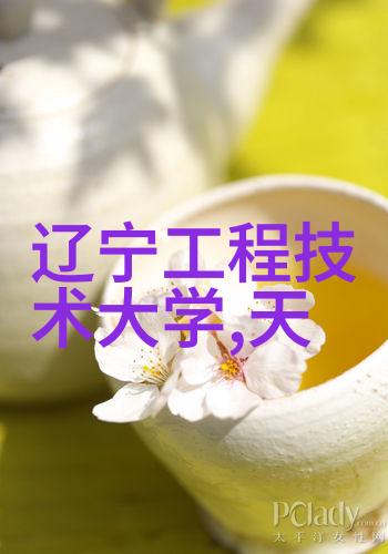 布袋除尘器的布袋厂家-高效环保解决方案探索专业布袋制造商
