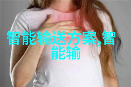 逆止器阻挡时间的裂缝