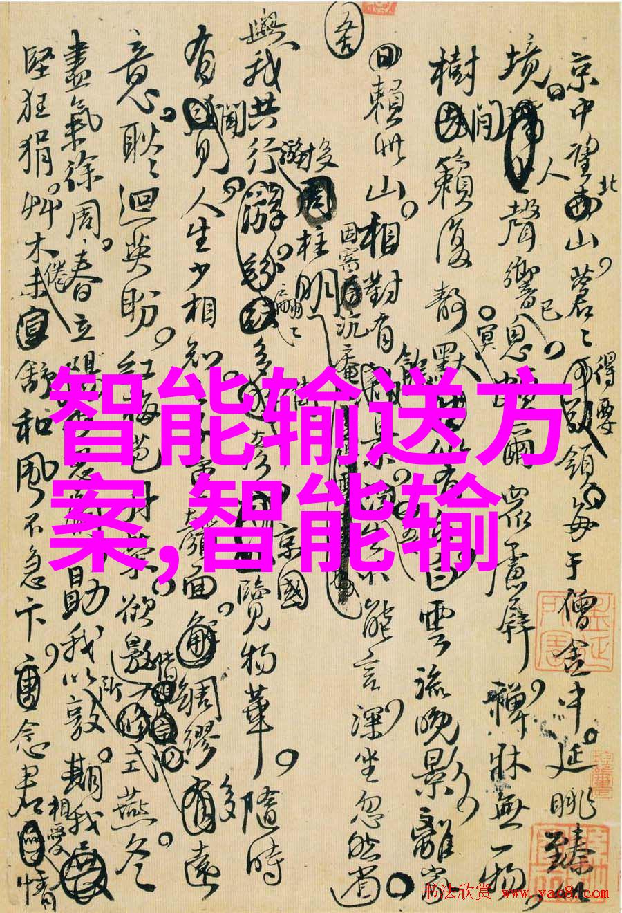 水底的秘密一场探寻清澈之价的冒险