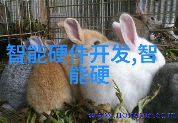 探索安卓市场下载宝库解锁无限应用与游戏世界