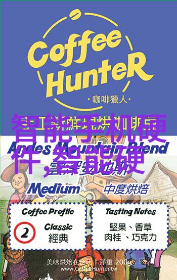探索芯片的概念从微缩电路到数字化革命