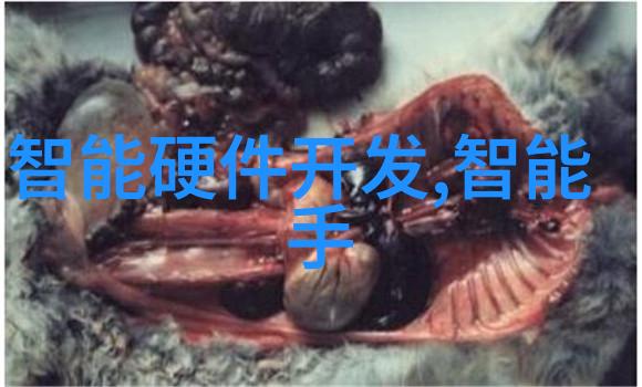 鹤壁职业技术学院从工匠之手到创新之翼的飞跃
