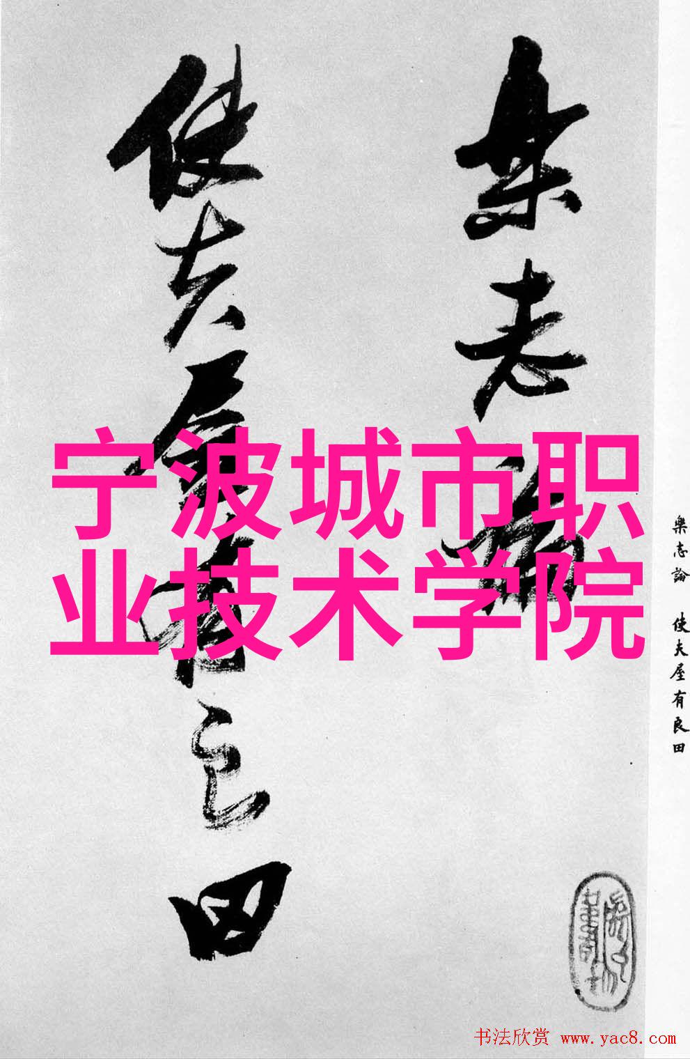 实验室专用产品展示高效能温控式氧气消除装置