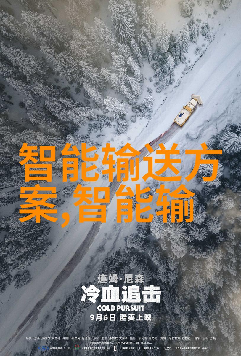 工程实践中的挑战解决方案利用PVC及PPR材料进行优化选择