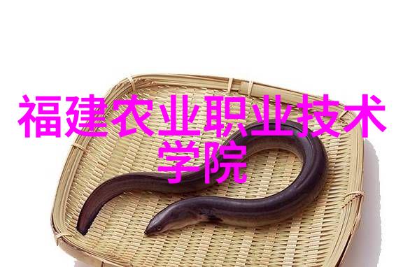 战火纷飞下的英勇模范百战沙场的铁血荣耀