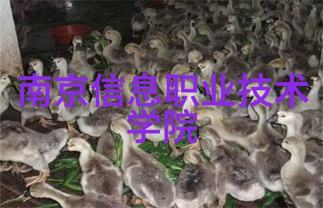 丝网波纹填料标准高质量医疗美容材料