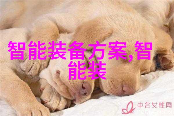南京财经大学的学术地位与211工程背景