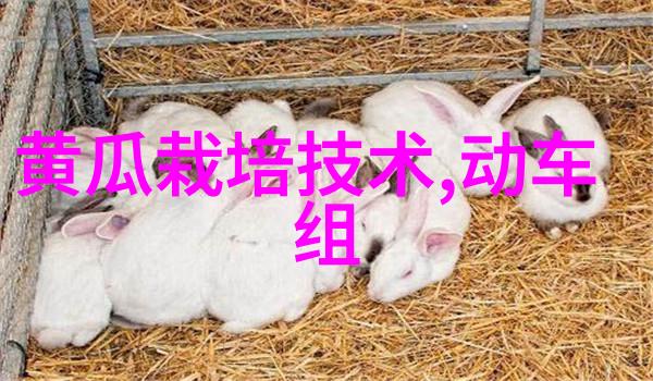 成年人专享-未满18岁请退出已达成人界限者点击此处进入