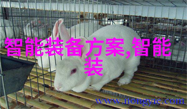 在公交车上到高C我的乘车小记