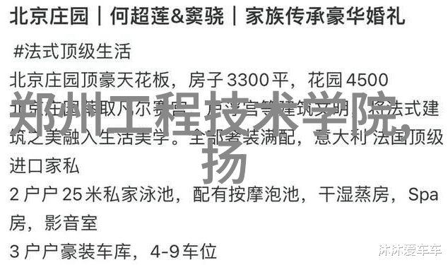 机械心脏颗粒剂的秘密运行