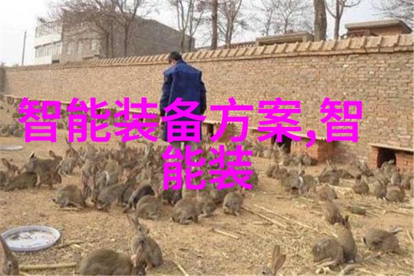 倍智人才测评解锁个体潜能的科学路径