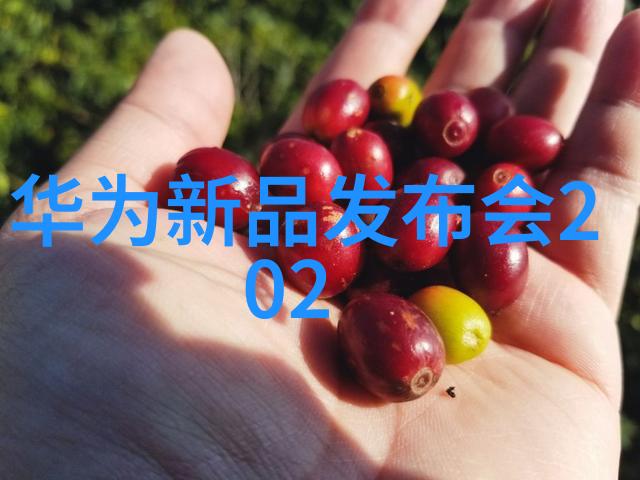 流化床技术的多重魅力揭秘其工作原理与应用广泛之道