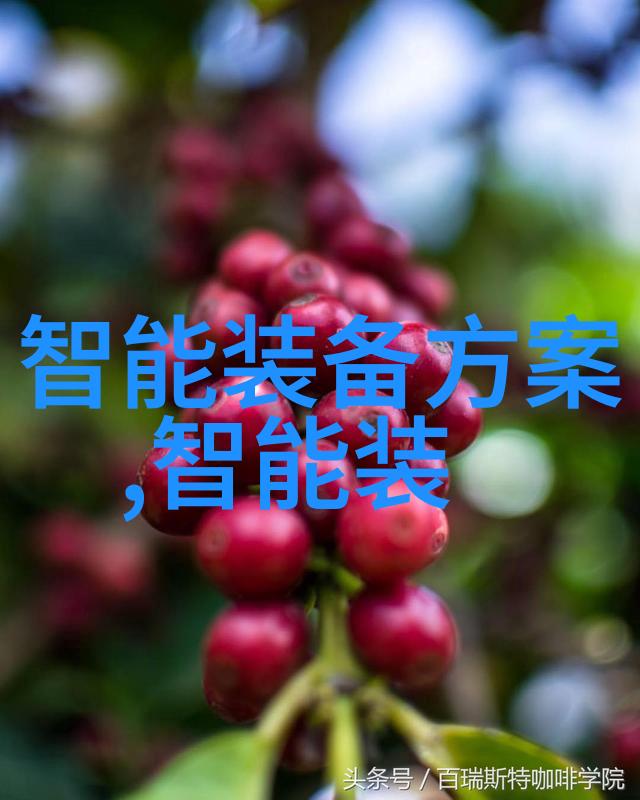 套管式换热器高效能的温室系统