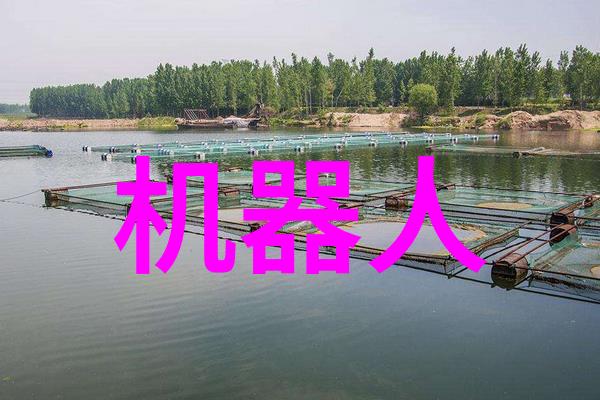 健康穿戴新宠智能手环如何影响我们的生活方式