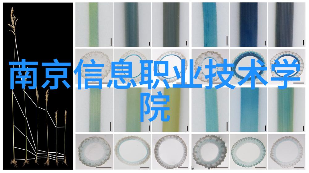 四四房播播我是小王今天就跟你聊聊这家新开的四四房播播听说他们的租房服务超级好用你准备好了吗
