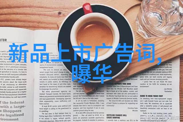 油水分离器使用指南清晰解析操作流程与技巧