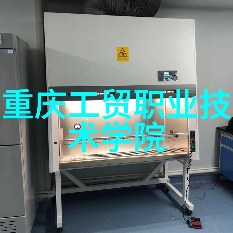 人工智能能干一辈子吗机器学习与终身适应性探究
