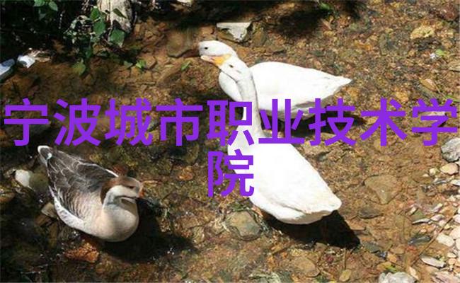 波音737Max软件补丁逻辑疑虑与智能交通信号灯系统的社会应用相似