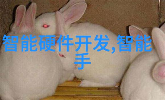 对于想深造或留学的人来说安徽财经大学提供了什么样的升学机会