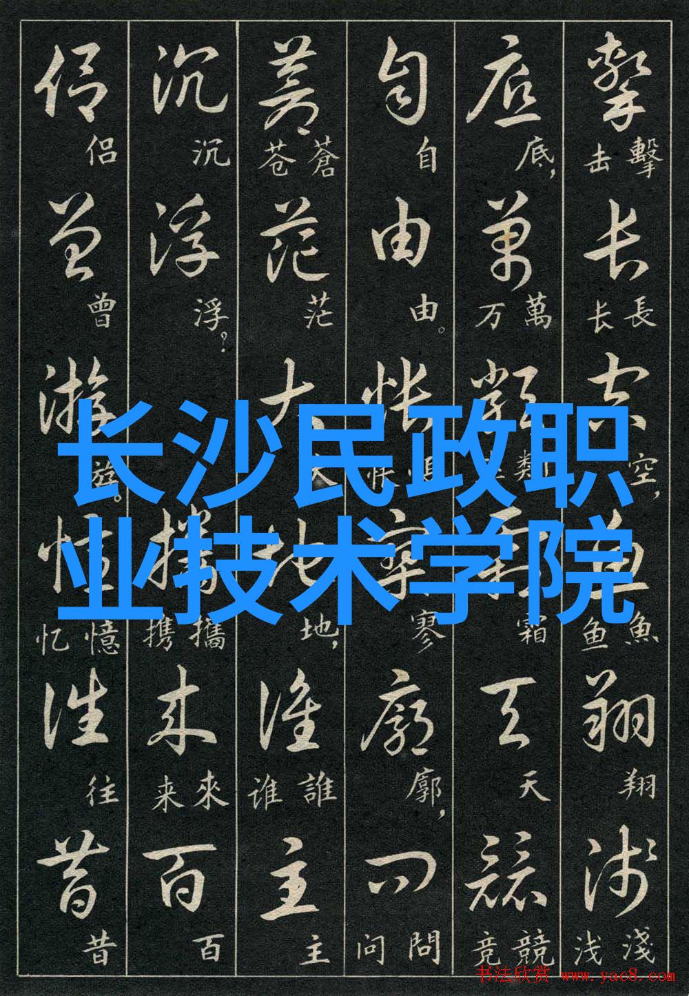 药物制剂设备的心得体会-精益求精我对药物制剂设备的深入理解