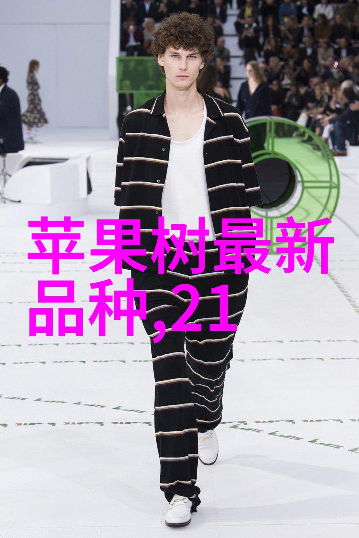 西安智能交通系统西安市智慧出行规划与管理