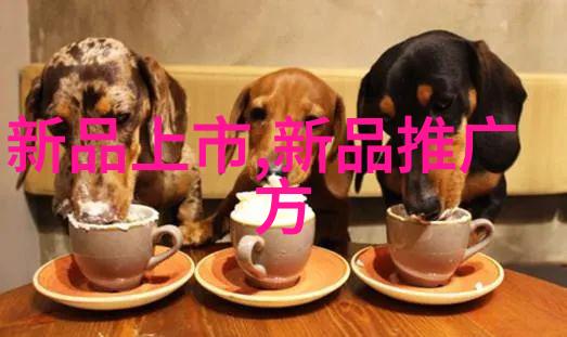 挑战自我拥抱变化一年来的思考