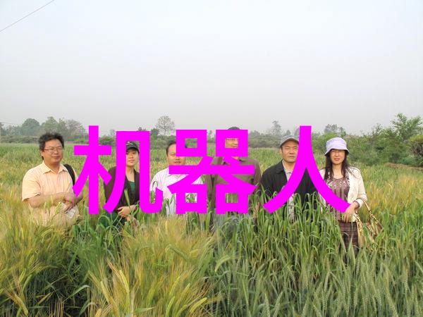 西域财富之城新疆财经大学的辉煌历程
