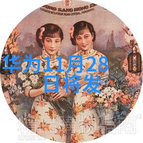 北京软件评测中心未知算法的阴影下