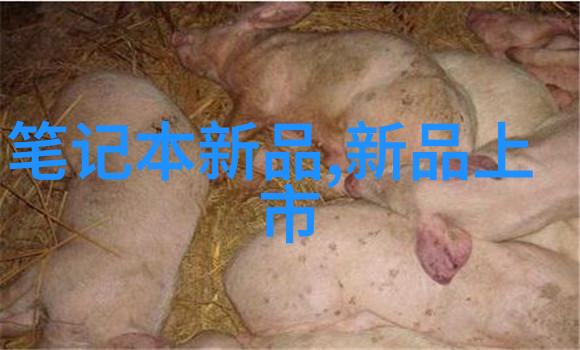 实验室设备制造商提供高质量的实验台解决方案