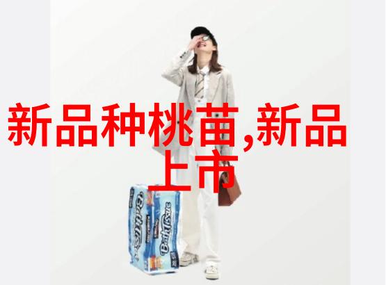 编制高效的反映情况报告格式提升工作效率与透明度