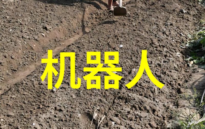 银幕新星最新电影资讯大汇总