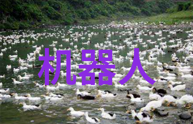 山东财经大学东方学院学术与实践的融合之地