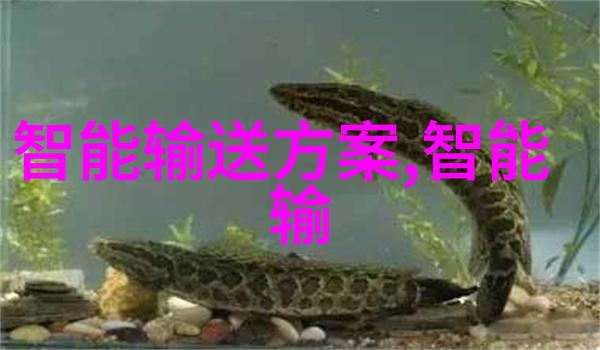 干燥大师工业设备的脱水英雄