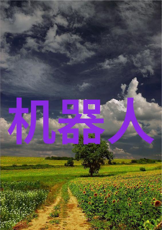 追逐梦想的技术旋涡解析锦鲤是个技术活电视剧背后的创意策略