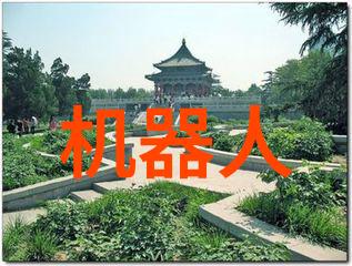 一晚之内高压锅带来的惊喜和挑战