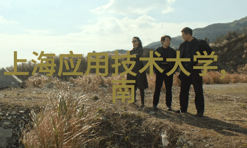 机器人新贵上海最具创新力的智能企业排行